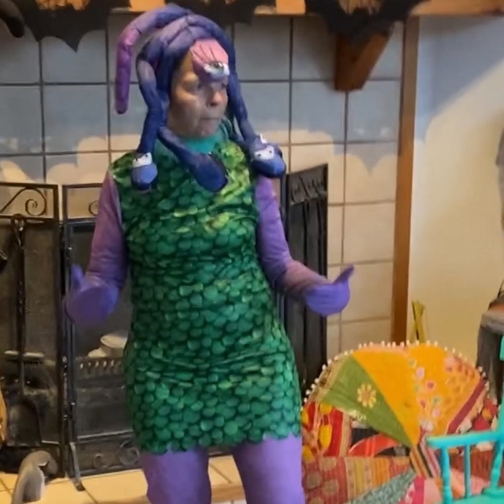 Celia Monsters Inc Costume Women’s M, worn one time. Excellent Condition!